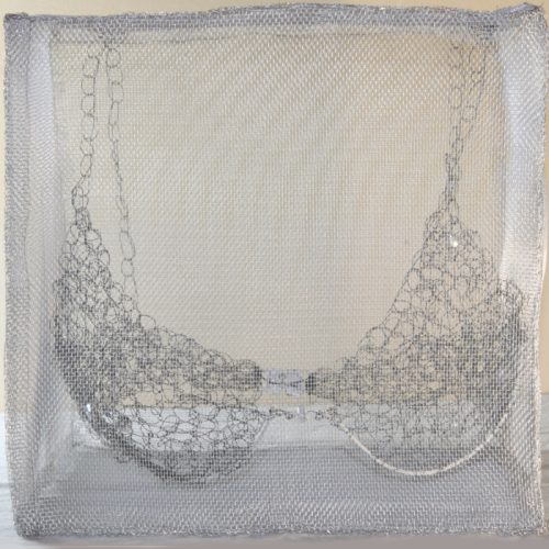 Gabbia Lingerie Reggiseno 2024